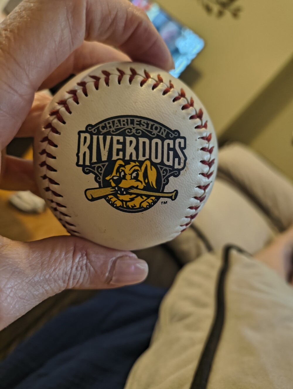 Charleston RiverDogs Logo Baseball - White with Red Stitching